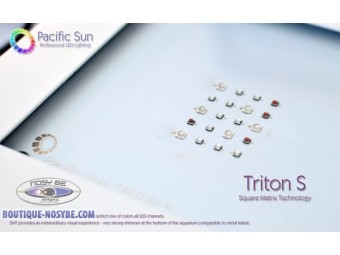 Triton S master Triton S master