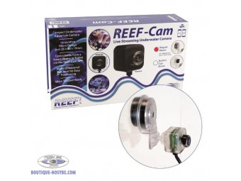 http://www.boutique-nosybe.com/3846-thickbox_default/reef-cam.jpg