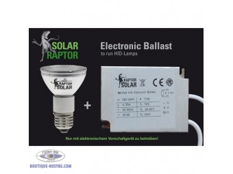 https://www.boutique-nosybe.com/1260-thickbox_default/solar-raptor-hid-lamp-flood-kit-spotballast.jpg