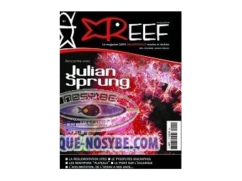 https://www.boutique-nosybe.com/197-thickbox_default/reef-magazine-numéro-1.jpg