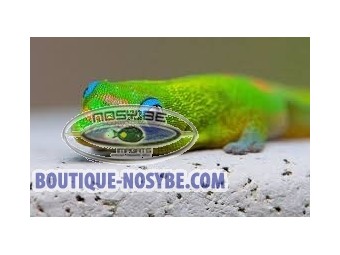 https://www.boutique-nosybe.com/6254-thickbox_default/phelsuma-laticauda.jpg