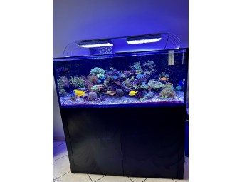 https://www.boutique-nosybe.com/6762-thickbox_default/aquarium-waterbox-reef-lx-2305.jpg