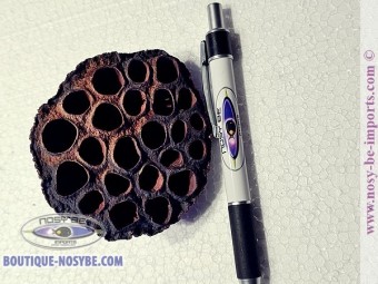 https://www.boutique-nosybe.com/7321-thickbox_default/cosse-de-lotus.jpg