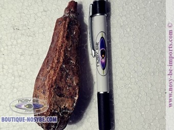 https://www.boutique-nosybe.com/7325-thickbox_default/luffa-cosse.jpg