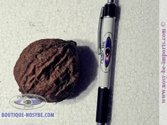 https://www.boutique-nosybe.com/7329-thickbox_default/santol.jpg