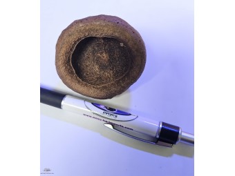 https://www.boutique-nosybe.com/8121-thickbox_default/chapeuzinho.jpg